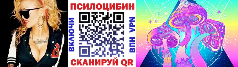 Купить где  Кондрово  Псилоцибиновые грибы GOLDEN TEACHER 